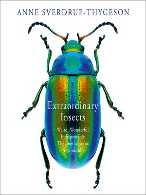 cover image of Extraordinary Insects